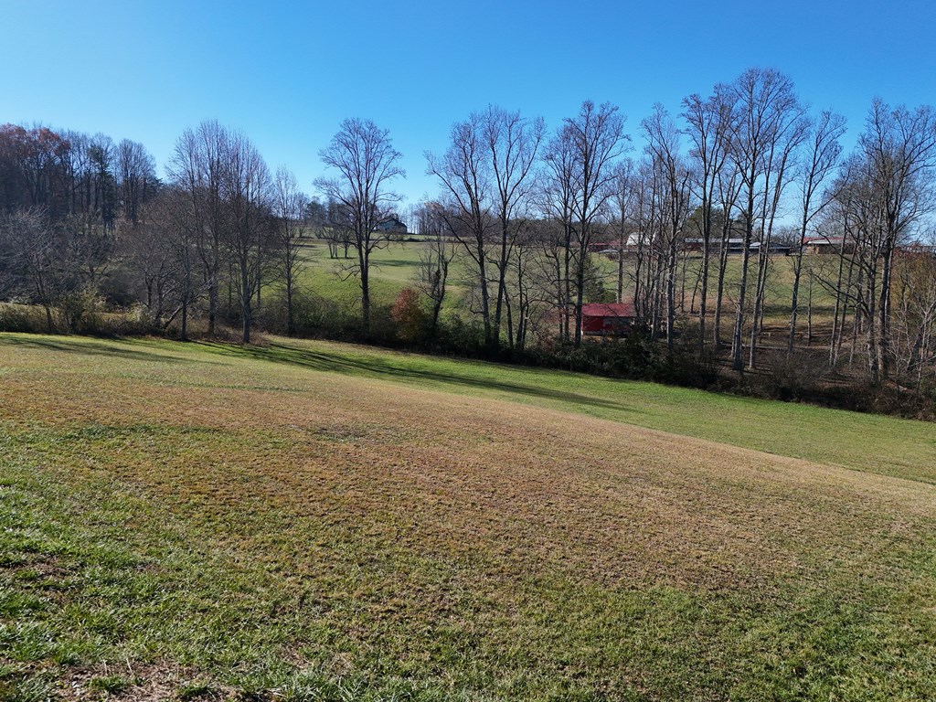 Lot 115 Owen Glen #115, BLAIRSVILLE, Georgia image 3