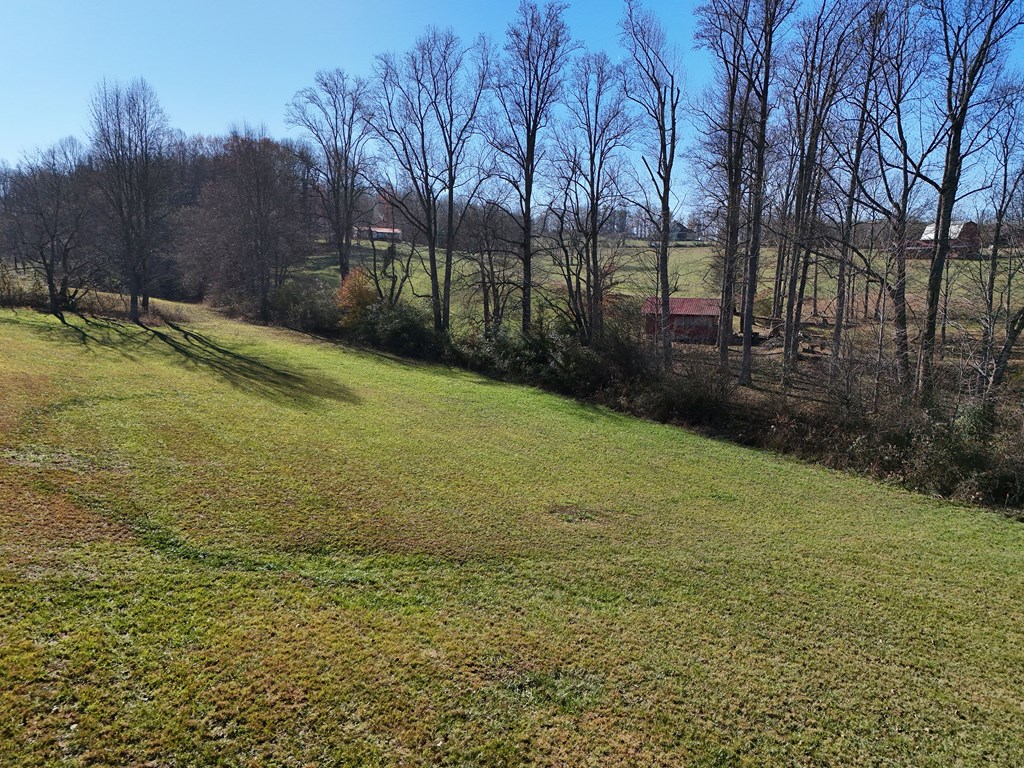 Lot 115 Owen Glen #115, BLAIRSVILLE, Georgia image 9