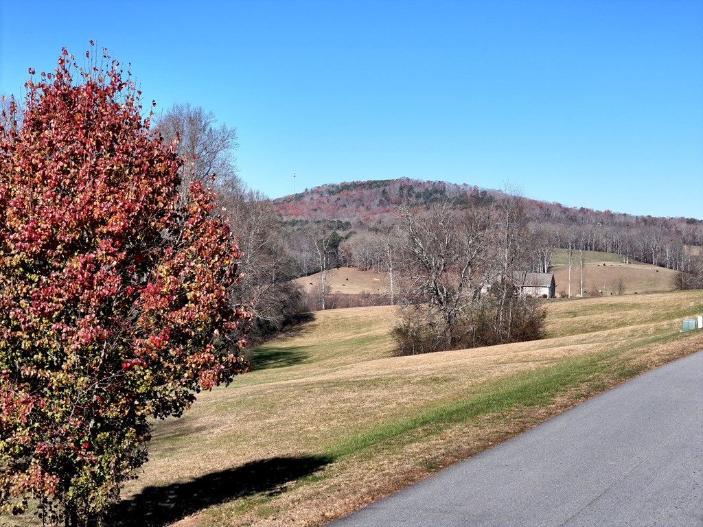 Lot 115 Owen Glen #115, BLAIRSVILLE, Georgia image 6