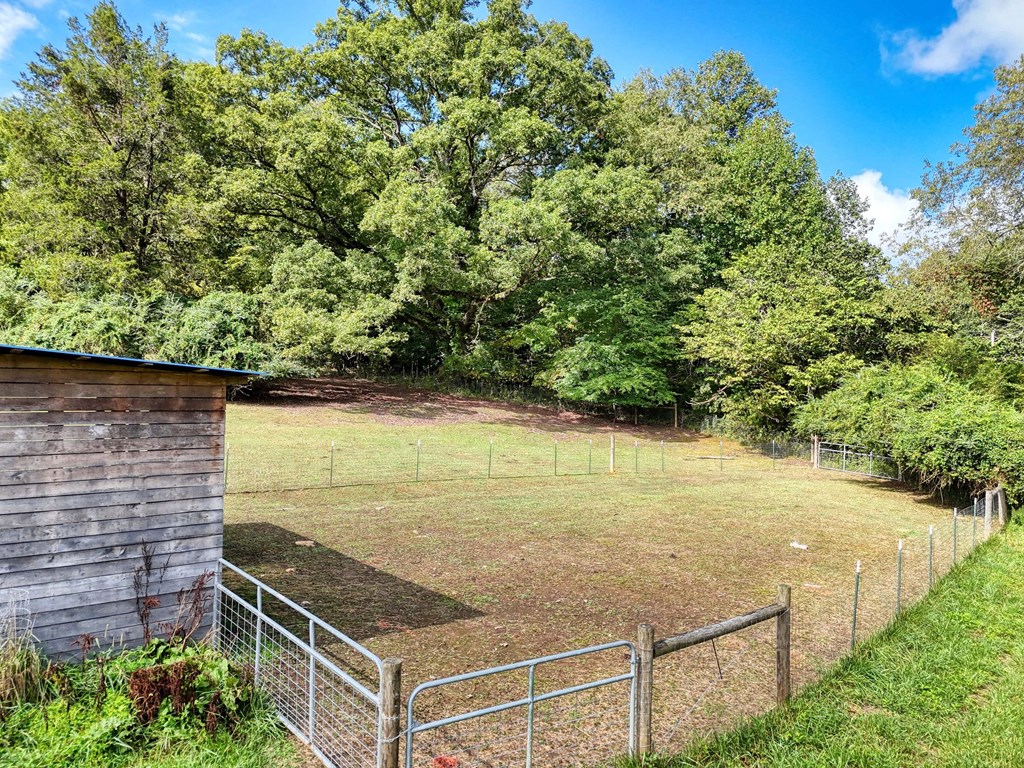 147 Sawyer Cove Rd, HAYESVILLE, North Carolina image 49
