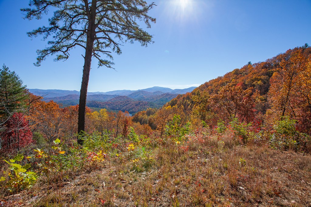 TBD Santeetlah Road, ROBBINSVILLE, North Carolina image 7