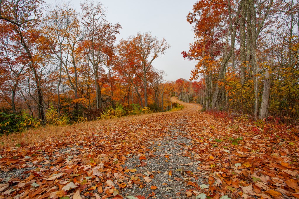 TBD Santeetlah Road, ROBBINSVILLE, North Carolina image 6