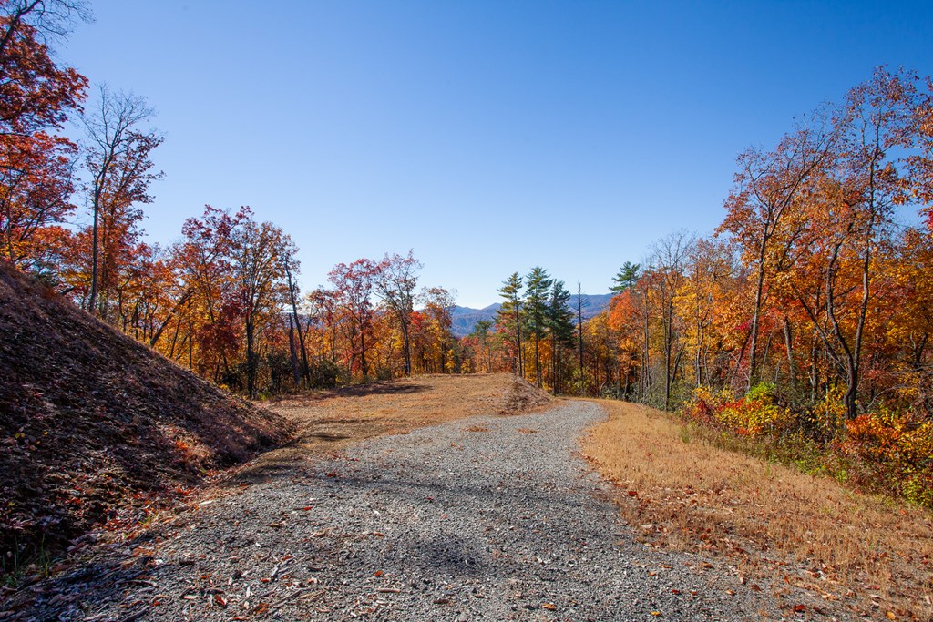 TBD Santeetlah Road, ROBBINSVILLE, North Carolina image 11