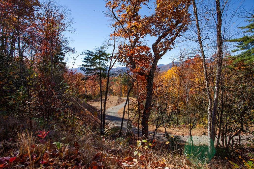 TBD Santeetlah Road, ROBBINSVILLE, North Carolina image 8