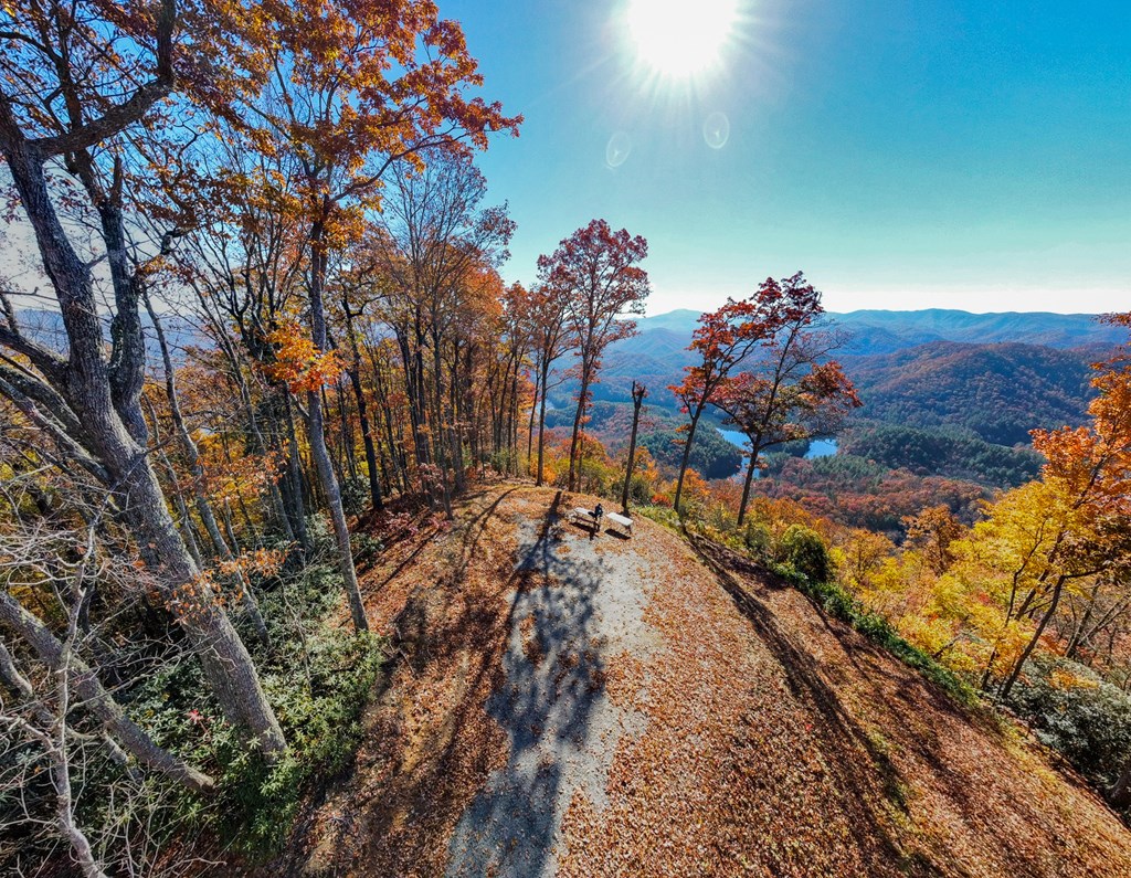 TBD Santeetlah Road, ROBBINSVILLE, North Carolina image 4