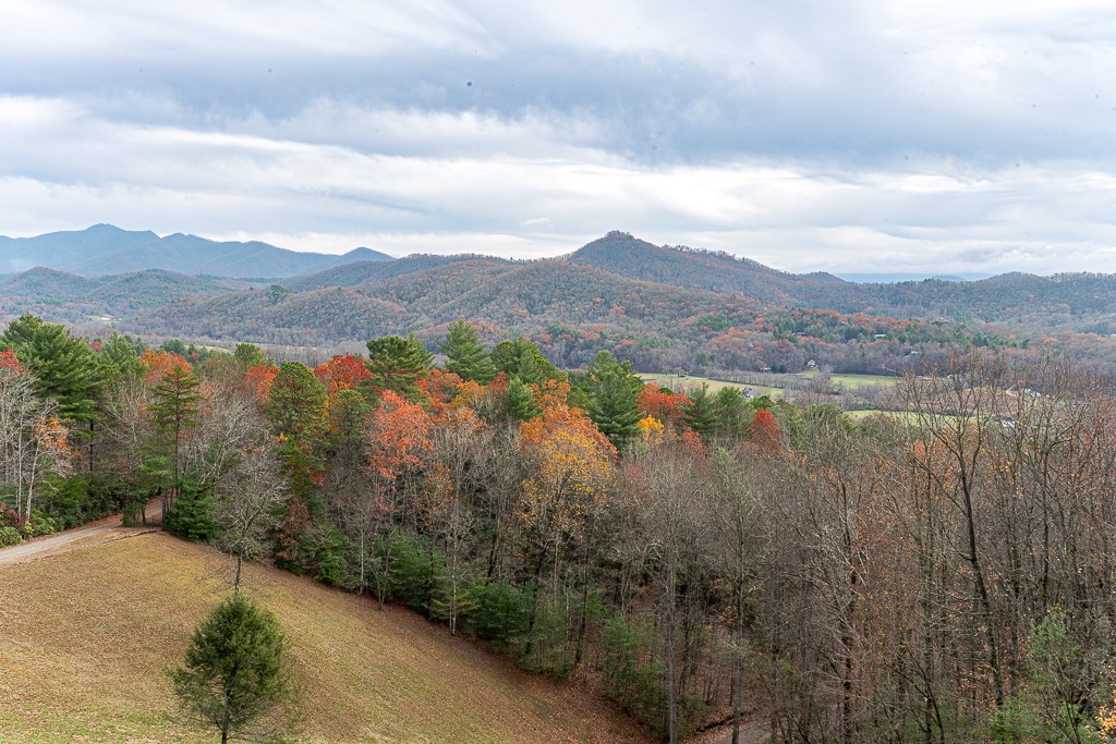 638 Caesars Cove Drive #6, HAYESVILLE, North Carolina image 46