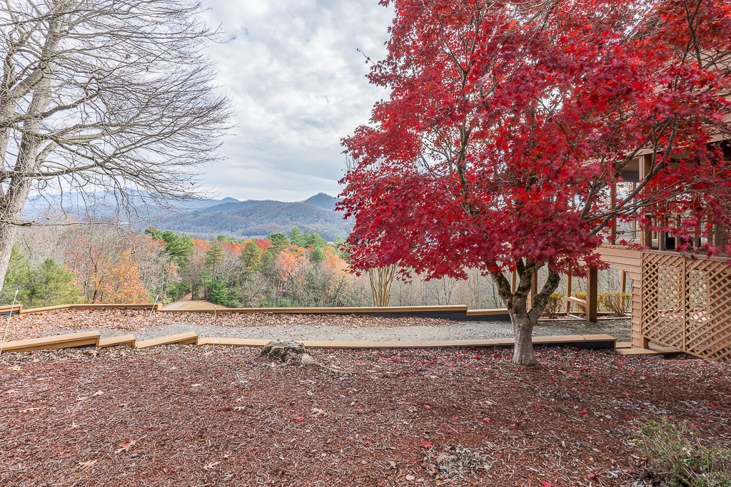 638 Caesars Cove Drive #6, HAYESVILLE, North Carolina image 9