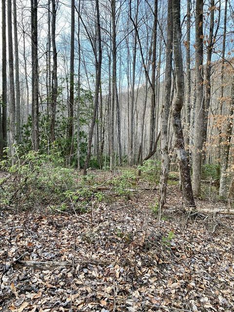Vacant Land For Sale - 00 Carringer Road Lot 1,15 #1,15<br/> ROBBINSVILLE, NC 28771