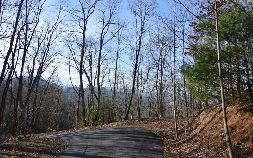 Lot 20 Enchanted Ridge #20, HAYESVILLE, North Carolina image 20