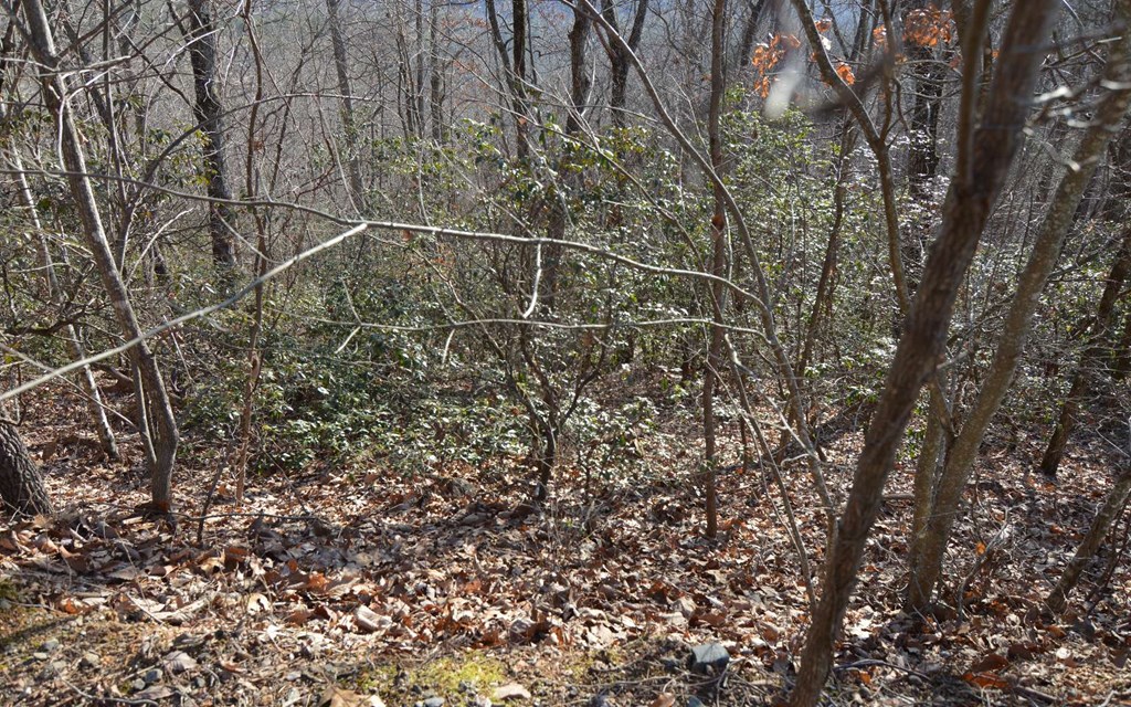 Lot 20 Enchanted Ridge #20, HAYESVILLE, North Carolina image 18