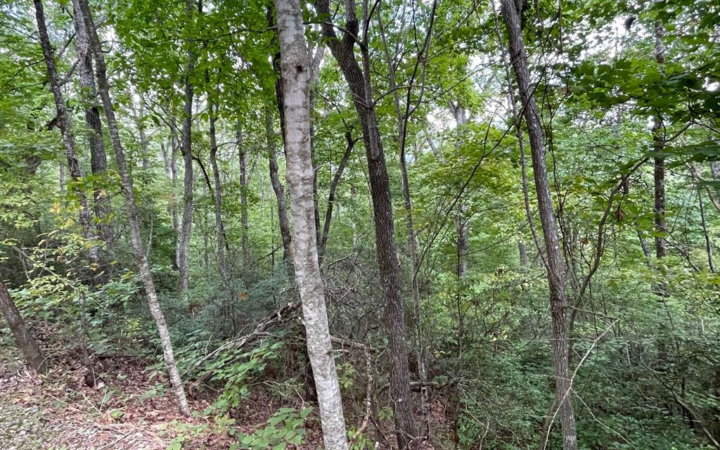 Lot 20 Enchanted Ridge #20, HAYESVILLE, North Carolina image 1