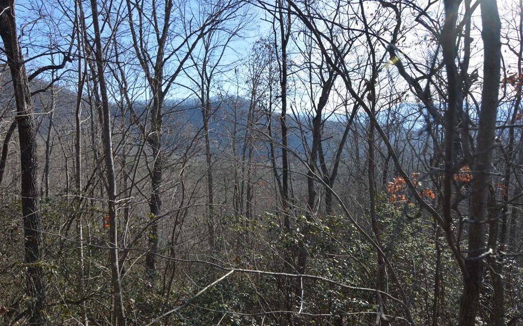 Lot 20 Enchanted Ridge #20, HAYESVILLE, North Carolina image 15