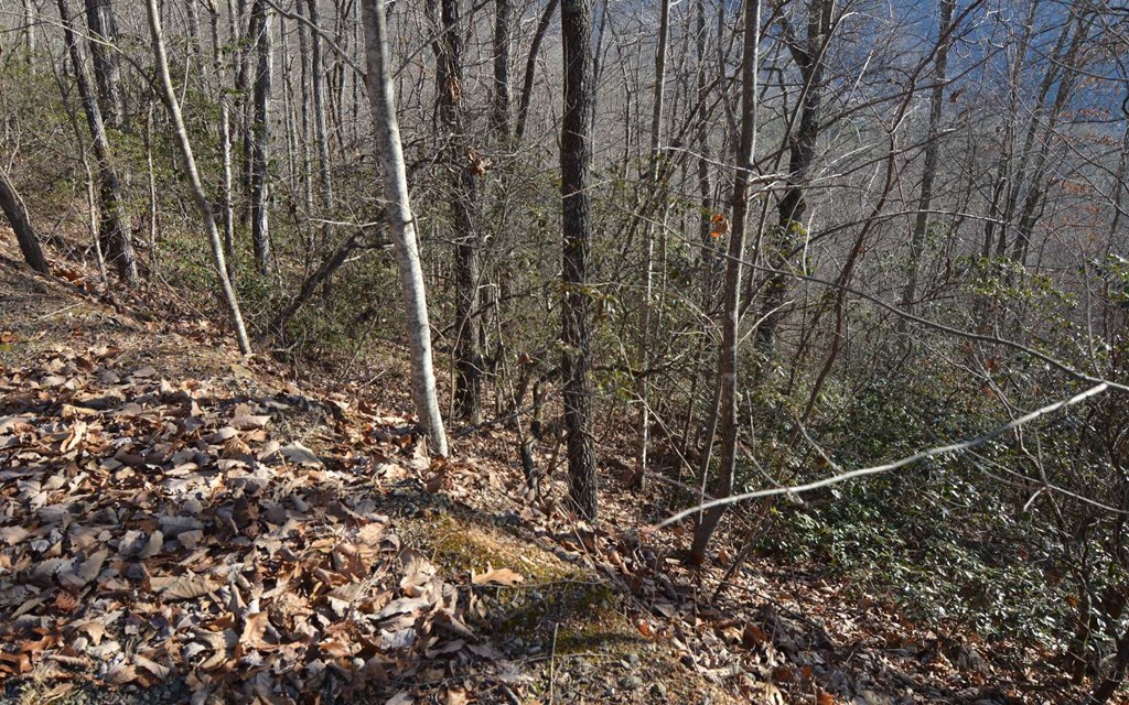 Lot 20 Enchanted Ridge #20, HAYESVILLE, North Carolina image 17