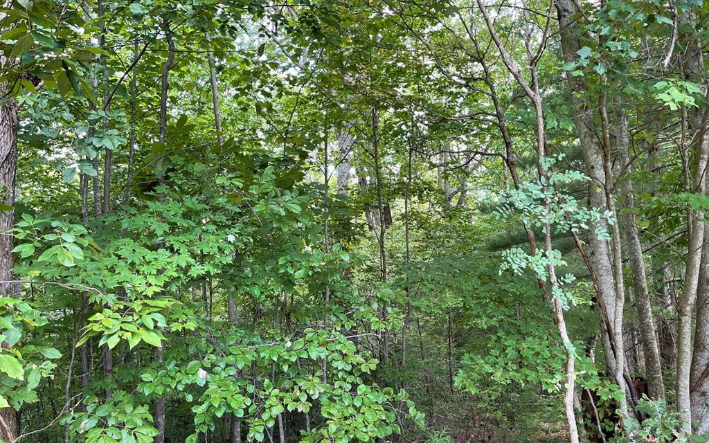 Lot 20 Enchanted Ridge #20, HAYESVILLE, North Carolina image 6