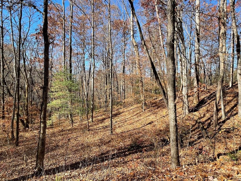 TBD Ashe Knob Drive - Photo 2