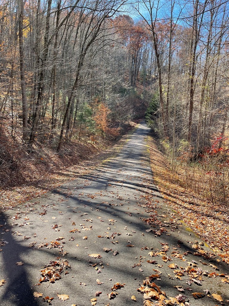 TBD Ashe Knob Drive - Photo 3