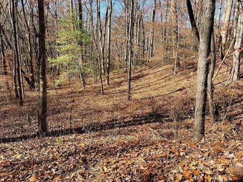 Vacant Land For Sale - TBD Ashe Knob Drive #69J +<br/> HAYESVILLE, NC 28904