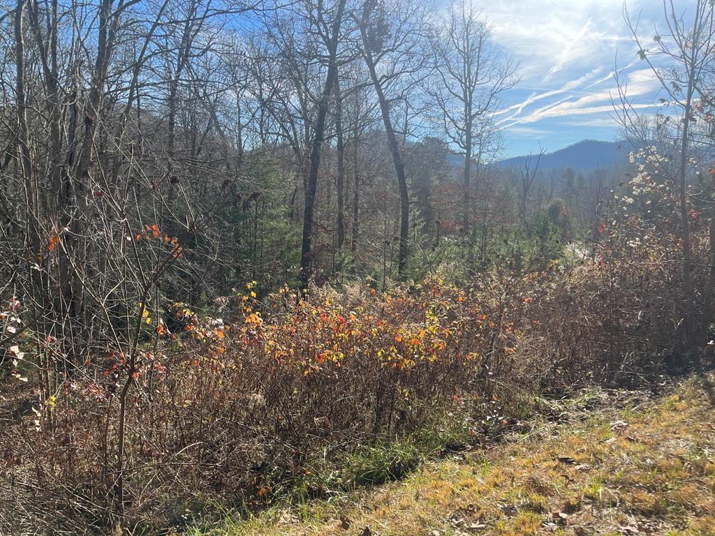 Lot 8 Moore Acres #8, HAYESVILLE, North Carolina image 2