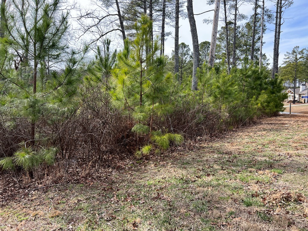 Lot 87 High Point Trail #87, BLAIRSVILLE, Georgia image 28