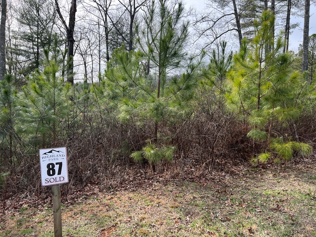 Lot 87 High Point Trail #87, BLAIRSVILLE, Georgia image 4
