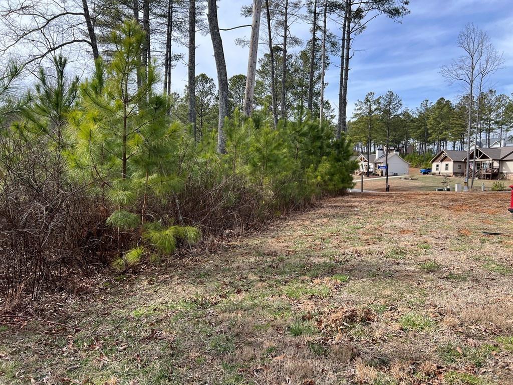 Lot 87 High Point Trail #87, BLAIRSVILLE, Georgia image 27