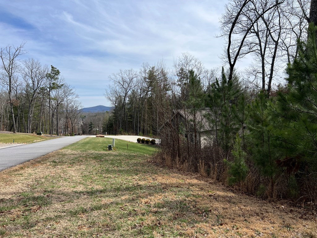 Lot 87 High Point Trail #87, BLAIRSVILLE, Georgia image 32