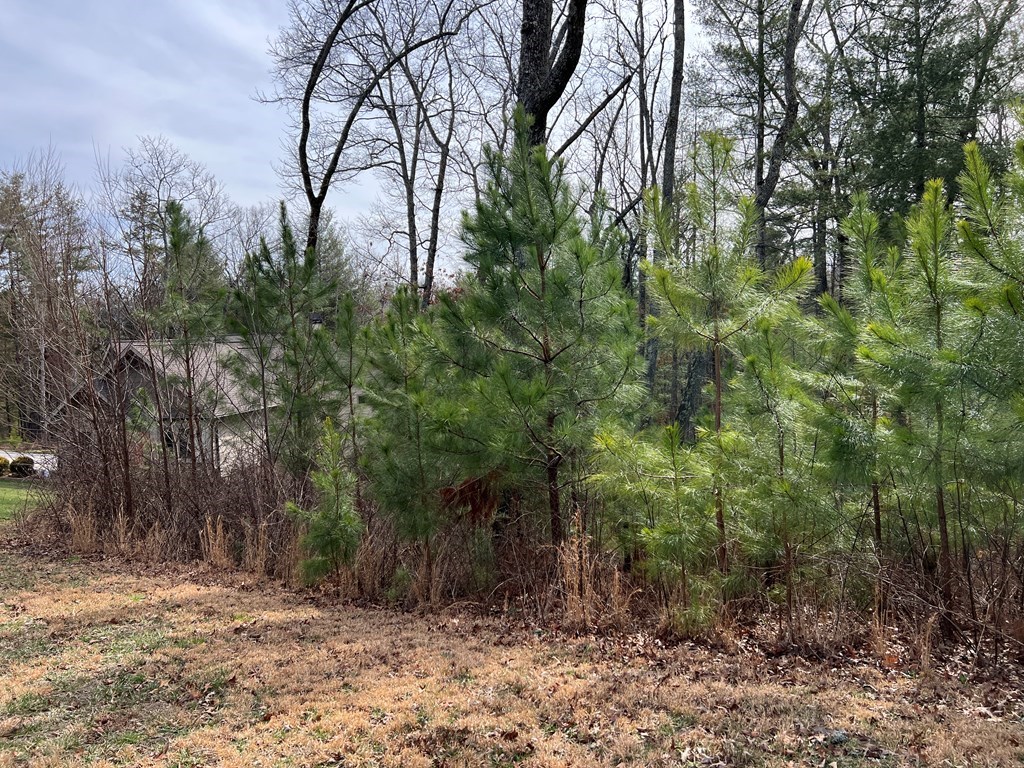 Lot 87 High Point Trail #87, BLAIRSVILLE, Georgia image 31