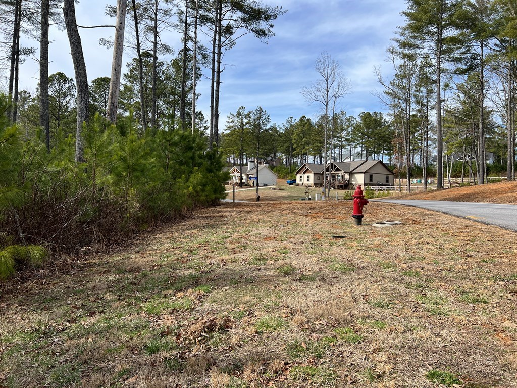 Lot 87 High Point Trail #87, BLAIRSVILLE, Georgia image 26