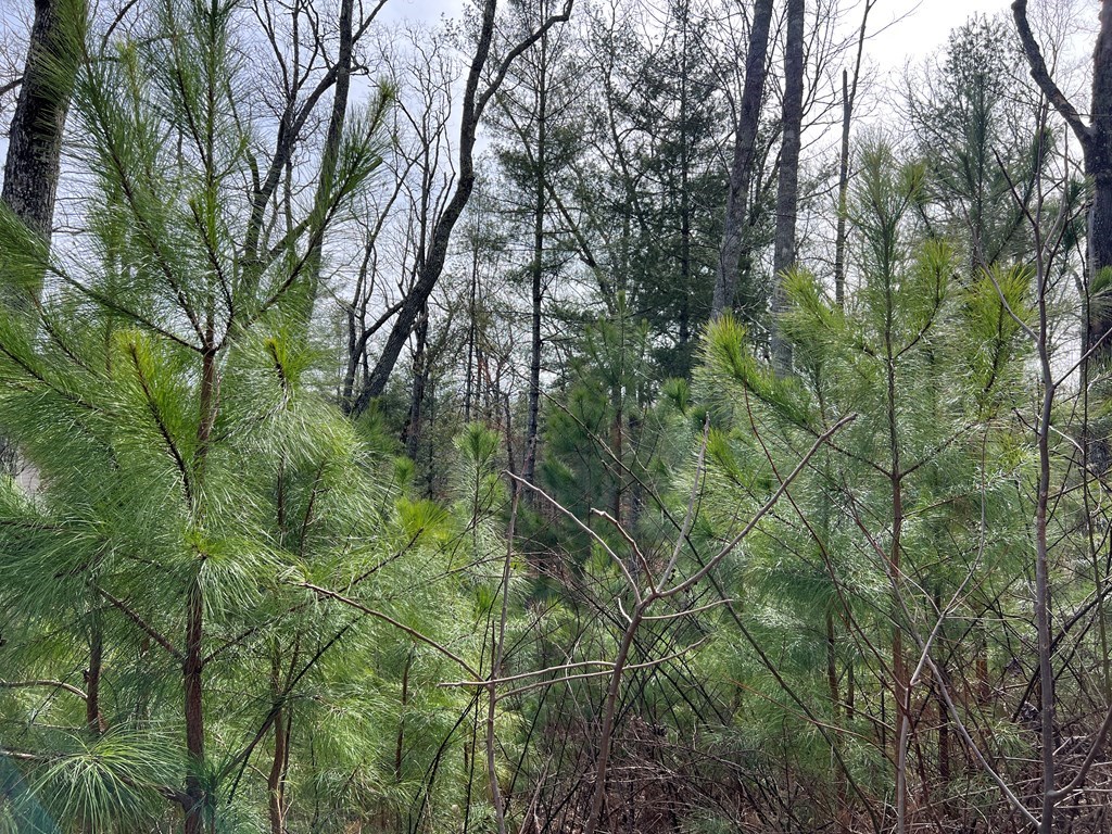 Lot 87 High Point Trail #87, BLAIRSVILLE, Georgia image 24