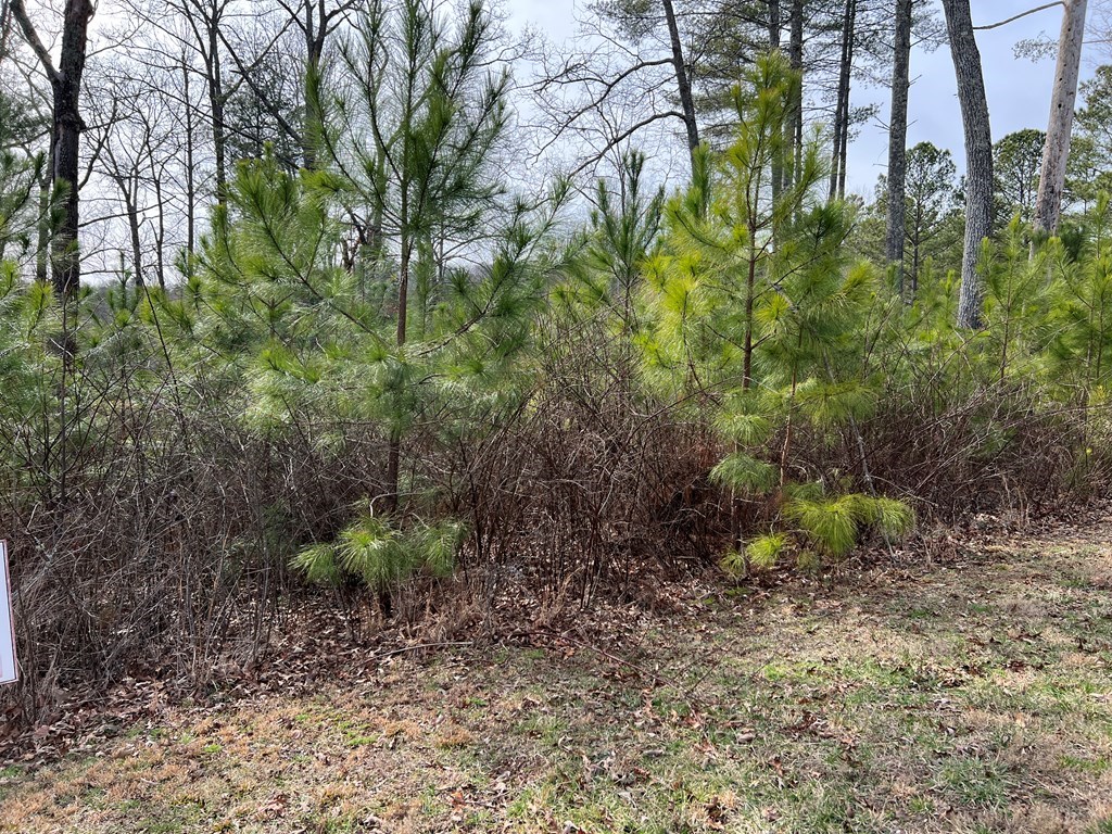 Lot 87 High Point Trail #87, BLAIRSVILLE, Georgia image 29