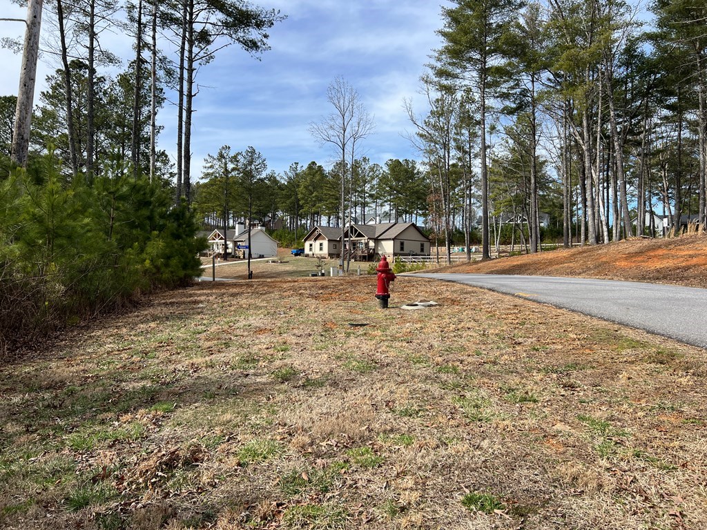 Lot 87 High Point Trail #87, BLAIRSVILLE, Georgia image 25