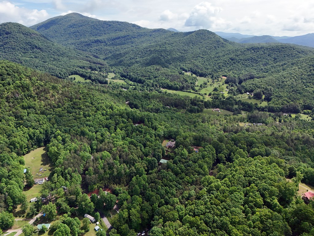 14B&14C Rainbow Ridge #14BC, HIAWASSEE, Georgia image 12