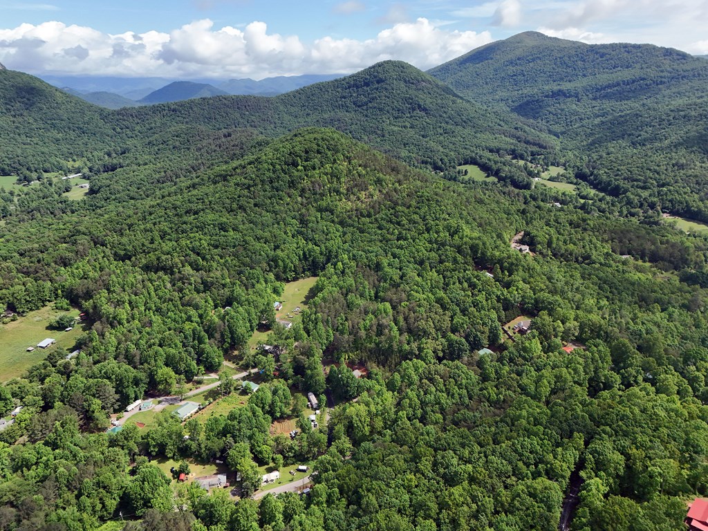 14B&14C Rainbow Ridge #14BC, HIAWASSEE, Georgia image 13