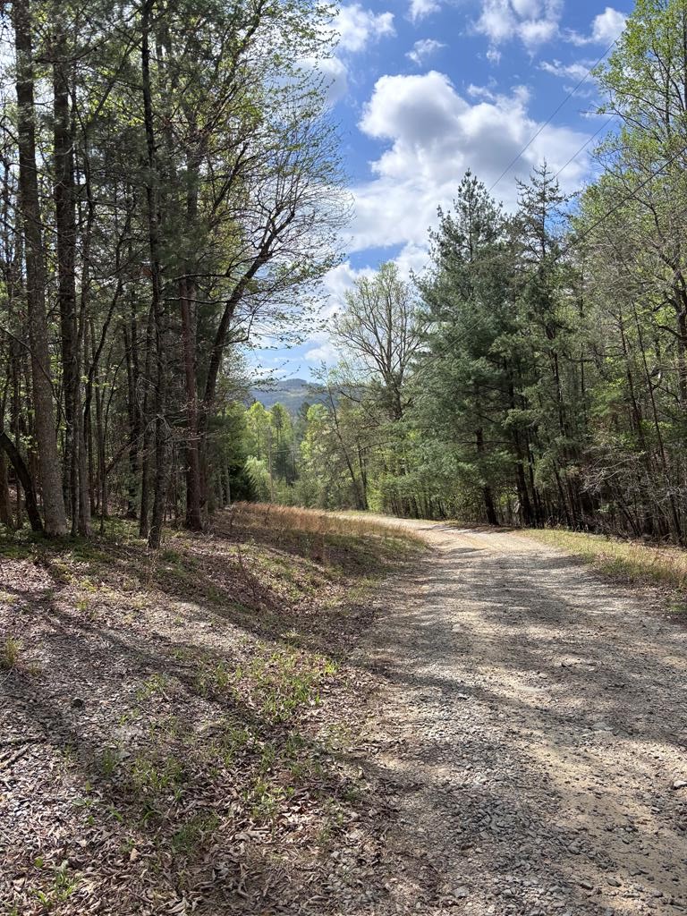 Photo 1 of 16 — 140 Hounds Run Ln Unit 39+2, MURPHY, NC 28906