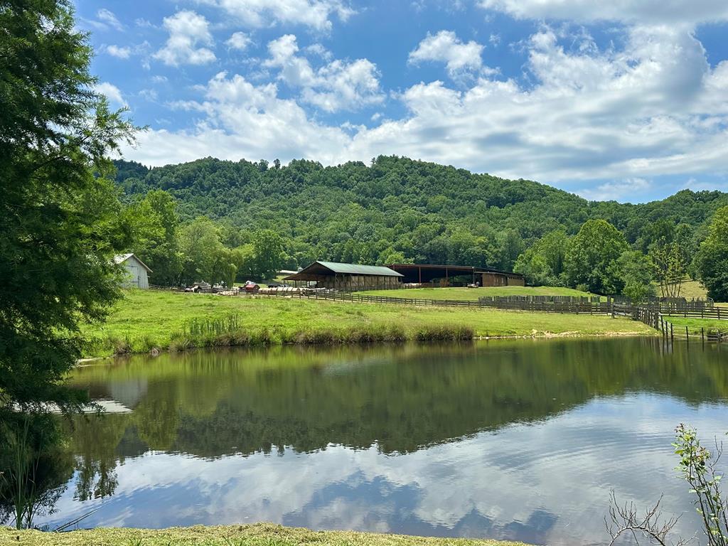 LT 87-88 Shiloh Stables #87/88, HAYESVILLE, North Carolina image 11