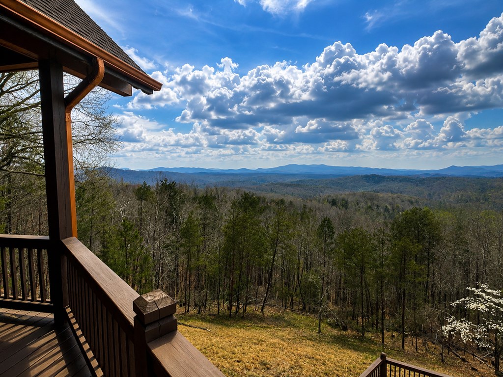 Mineral Bluff, Georgia, 30559, United States, 5 Bedrooms Bedrooms, ,4 BathroomsBathrooms,Residential,Active,2052073