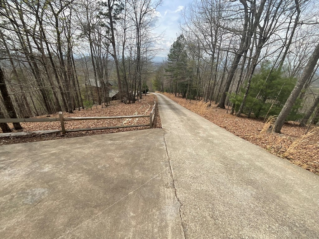 Mineral Bluff, Georgia, 30559, United States, 5 Bedrooms Bedrooms, ,4 BathroomsBathrooms,Residential,Active,2052073