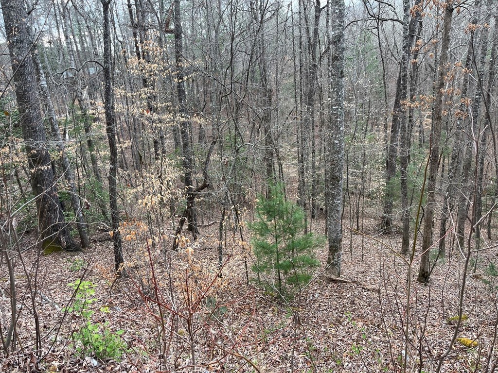 46 Robin Road #12,13, MURPHY, North Carolina image 2