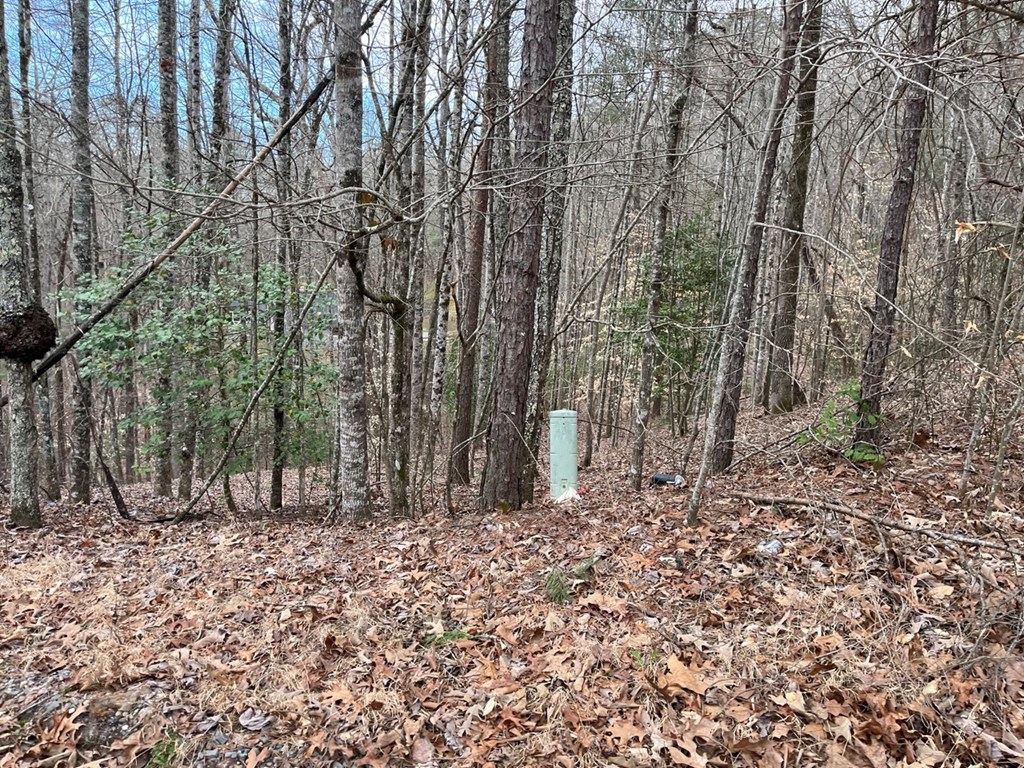 46 Robin Road #12,13, MURPHY, North Carolina image 7