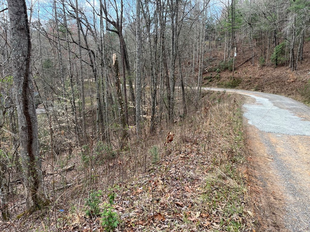 46 Robin Road #12,13, MURPHY, North Carolina image 4