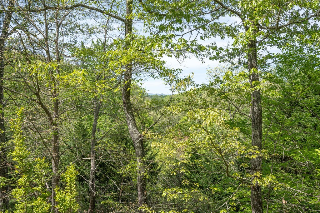 211 Trickling Branch Way, MURPHY, North Carolina image 15