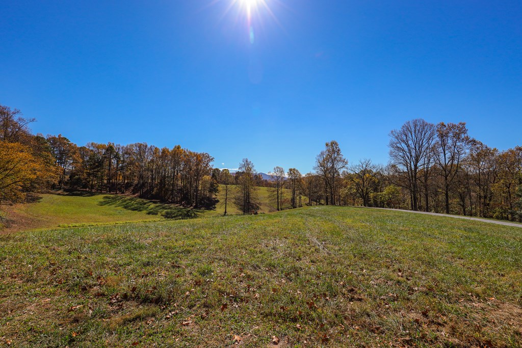 Lot 10 Hinton Overlook #10, HAYESVILLE, North Carolina image 10