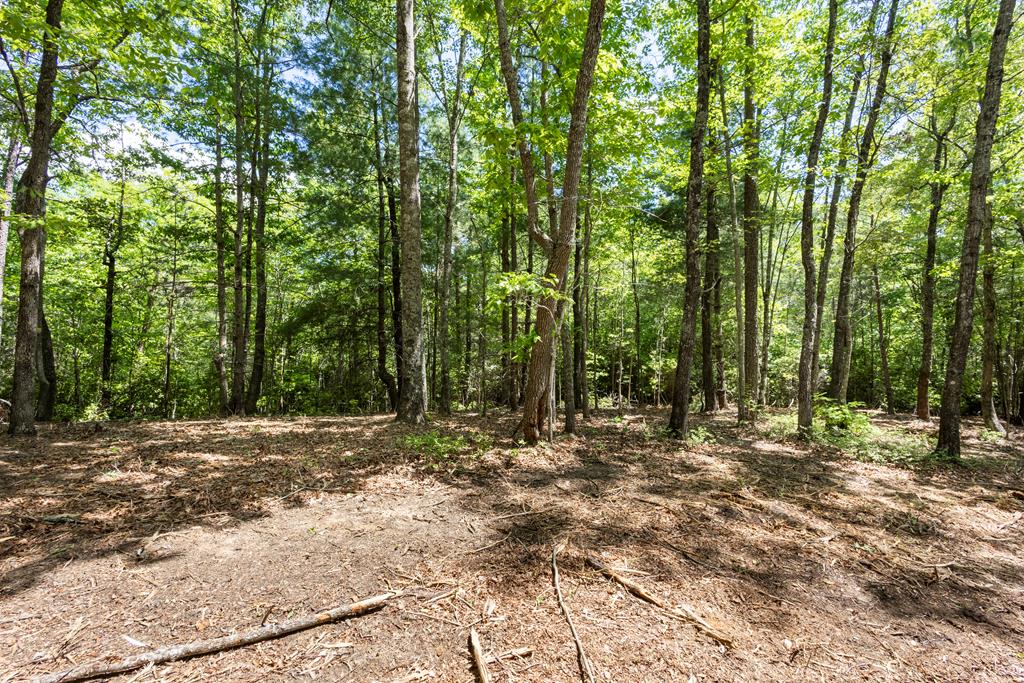 Photo 1 of 14 — 4.3 AC Donley Rd, MURPHY, NC 28906