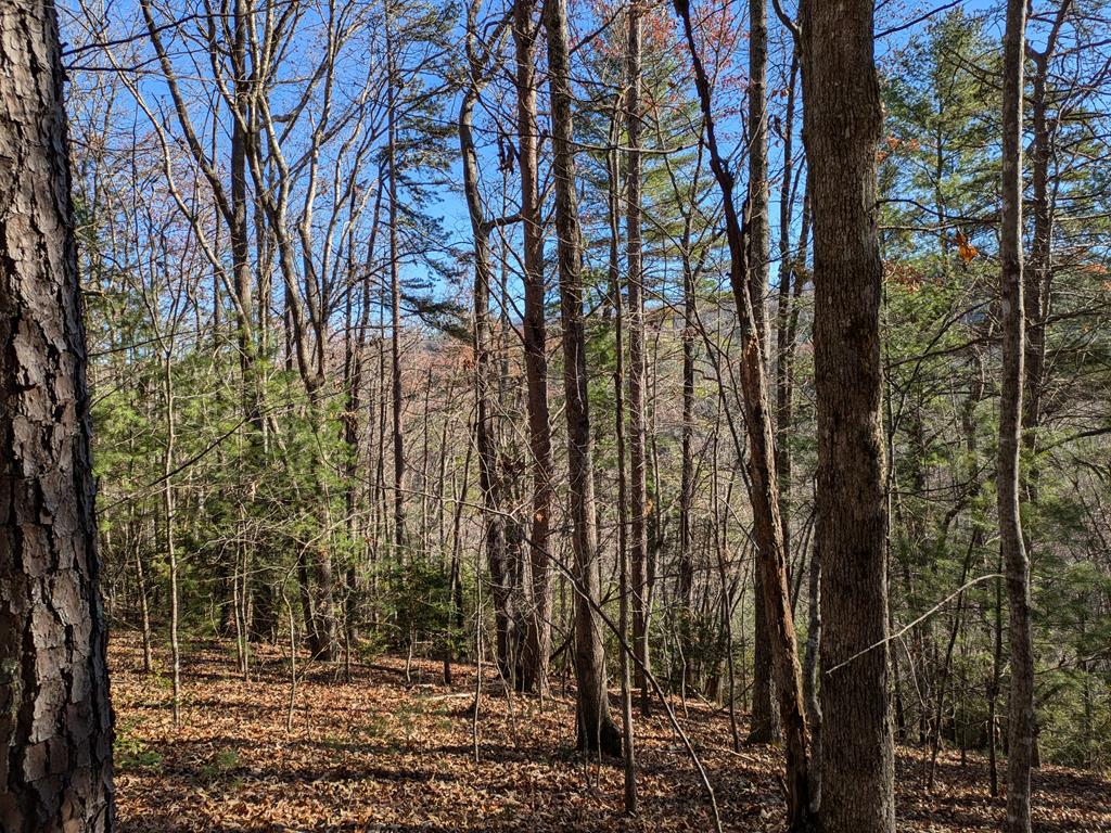 Lot 26 Persimmon Rd, MURPHY, North Carolina image 6