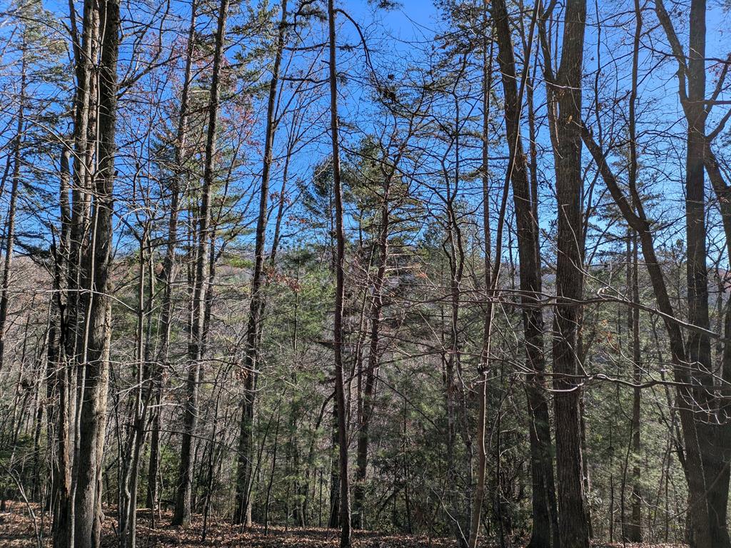 Lot 26 Persimmon Rd, MURPHY, North Carolina image 5