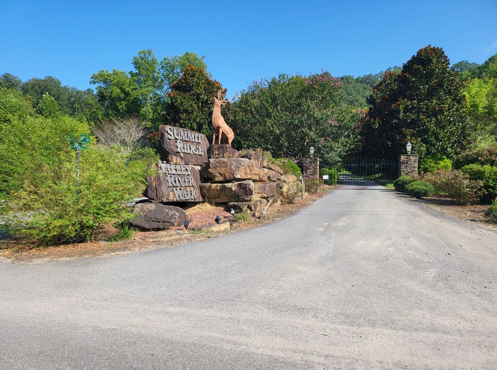 2.66 Acs Sams Branch View, MARBLE, North Carolina image 4