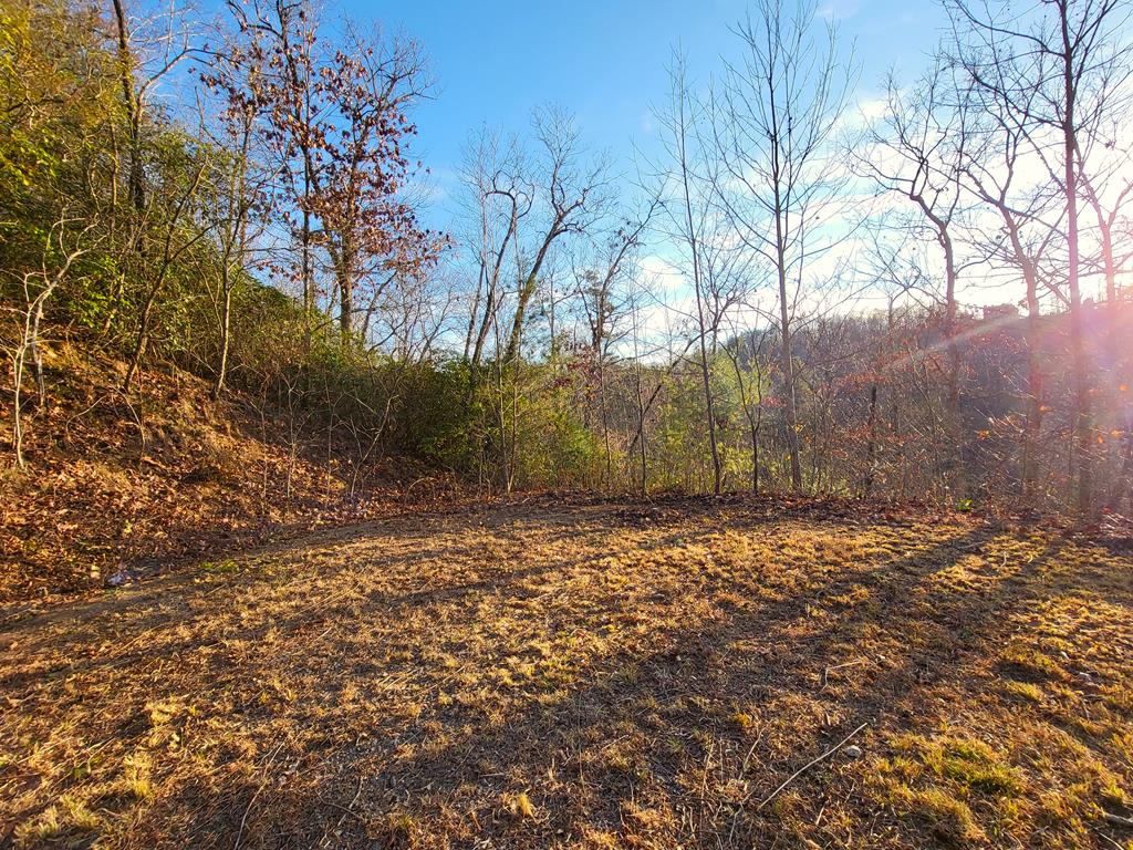 2.66 Acs Sams Branch View, MARBLE, North Carolina image 44