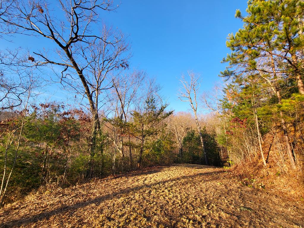 2.66 Acs Sams Branch View, MARBLE, North Carolina image 30