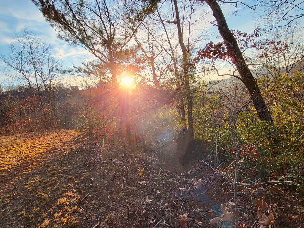 2.66 Acs Sams Branch View, MARBLE, North Carolina image 40