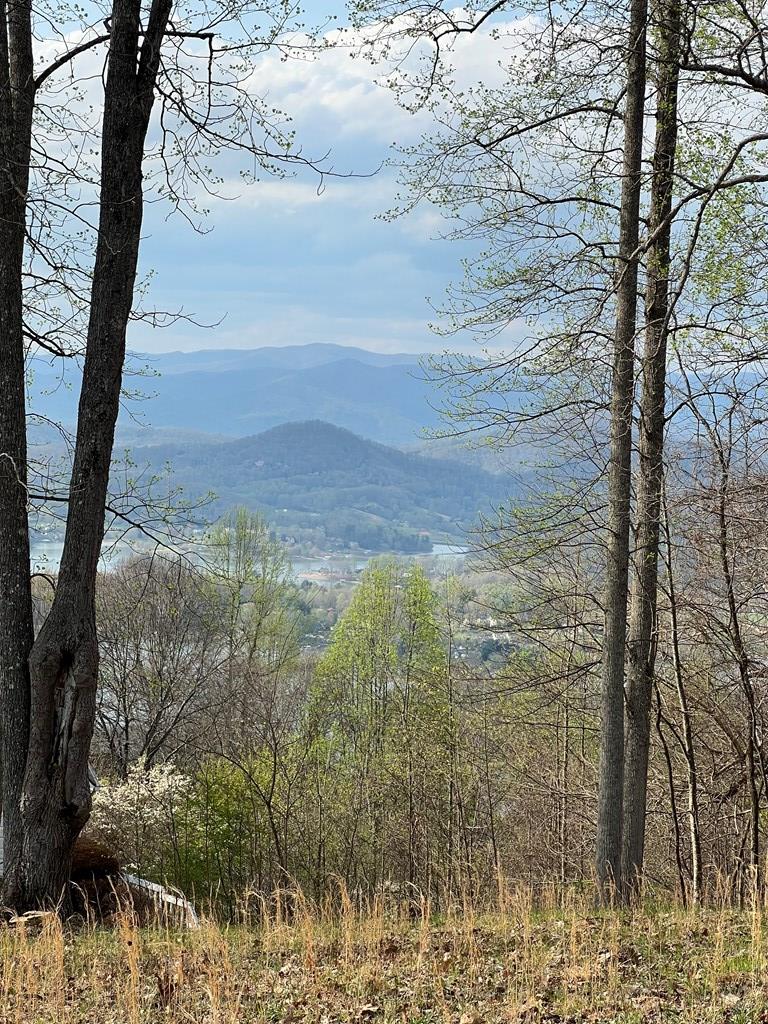 74 Eagles View Smt #74, HAYESVILLE, North Carolina image 1